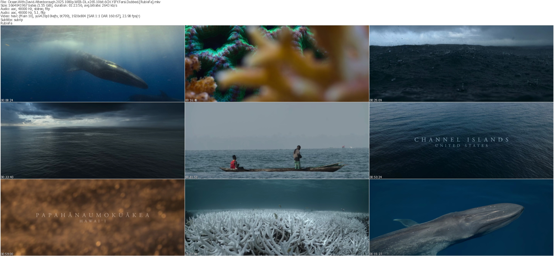 دانلود فیلم Ocean with David Attenborough 2025 دوبله فارسی